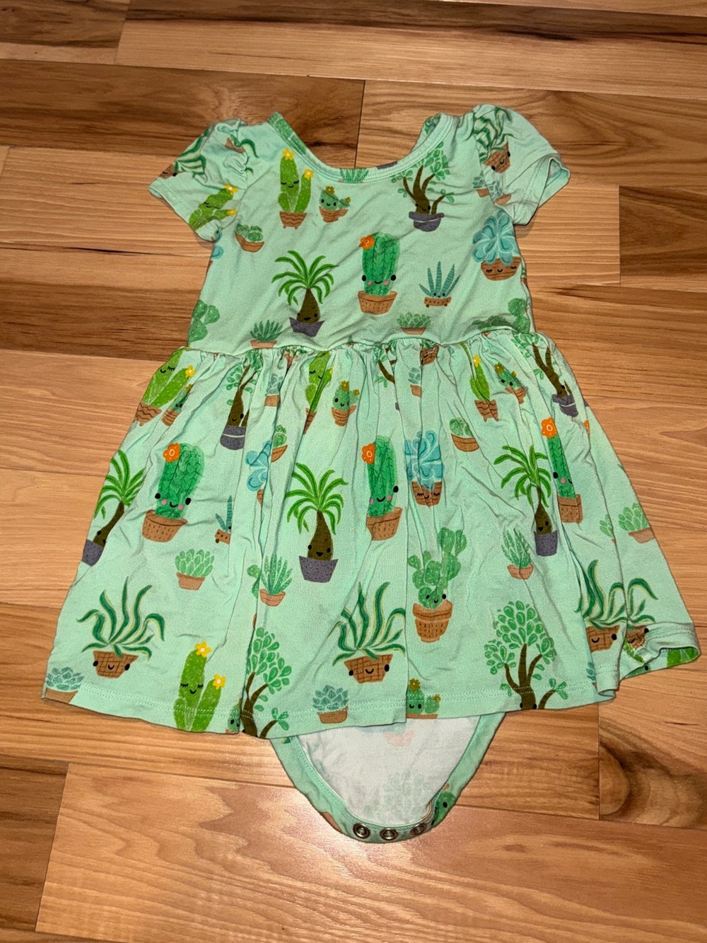 Little Sleepies Succulent Love Skater Dress with Bodysuit